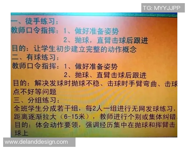 北京排球队盯防体系解析：排球战术的创新与应用探讨