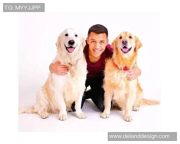 客厅小摆件足球明星的魅力与装饰效果提升家居品味的完美选择 客厅小摆件足球明星的魅力与装饰效果提升家居品味的完美选择