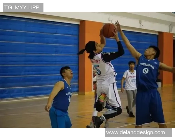 对话李敏：谈篮球生涯