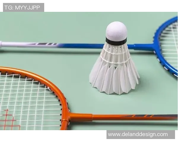 从零开始：羽毛球技术完全攻略