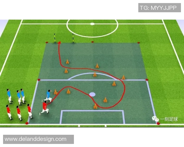 数据分析：南京极限运动队的速度表现