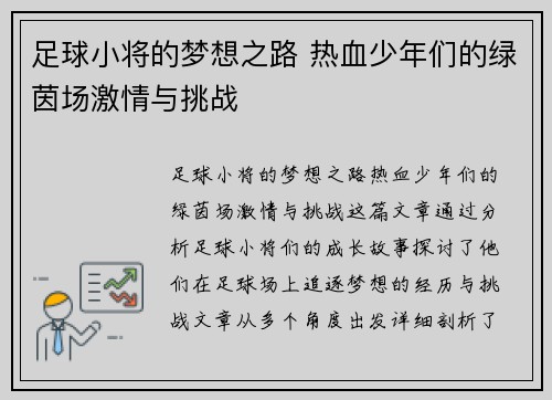 足球小将的梦想之路 热血少年们的绿茵场激情与挑战