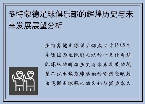 多特蒙德足球俱乐部的辉煌历史与未来发展展望分析