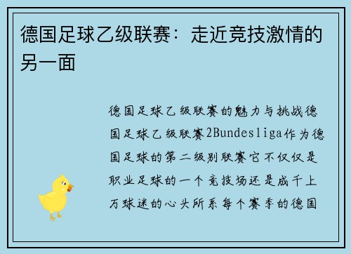 德国足球乙级联赛：走近竞技激情的另一面