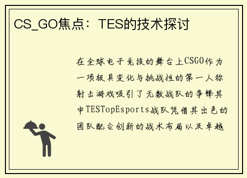CS_GO焦点：TES的技术探讨